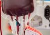 Jehovah’s Witnesses now allowing members to donate components of blood
